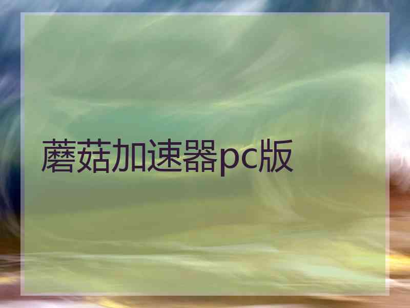 蘑菇加速器pc版