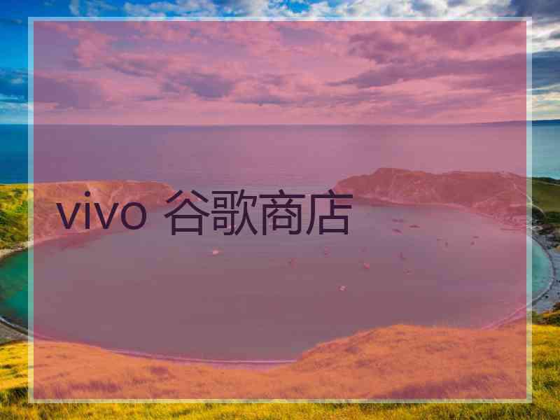 vivo 谷歌商店