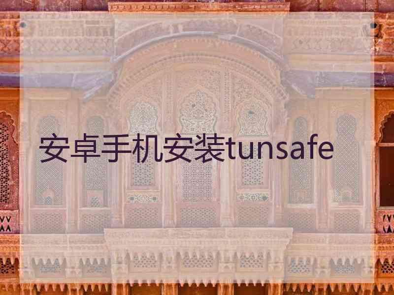 安卓手机安装tunsafe