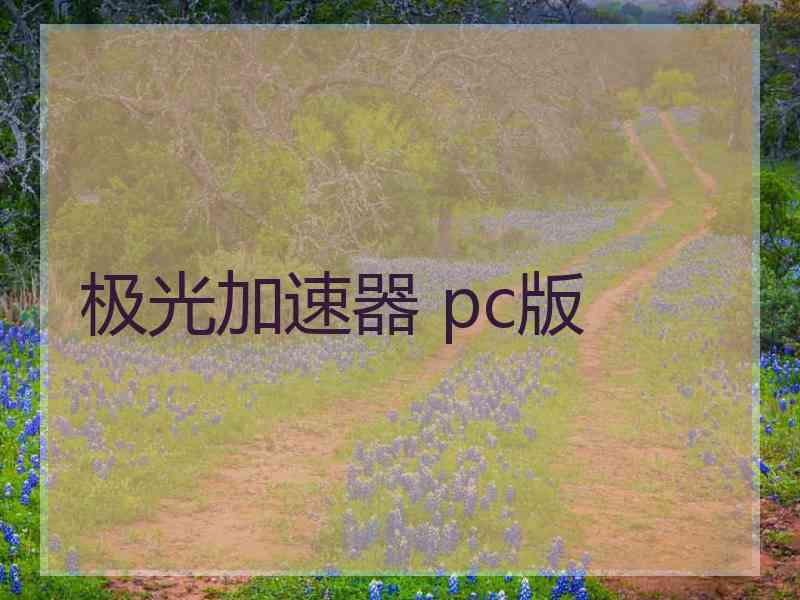 极光加速器 pc版