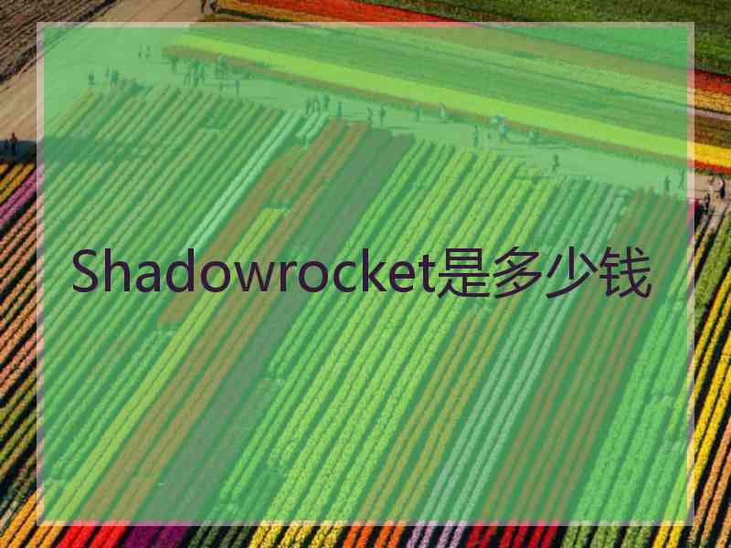 Shadowrocket是多少钱