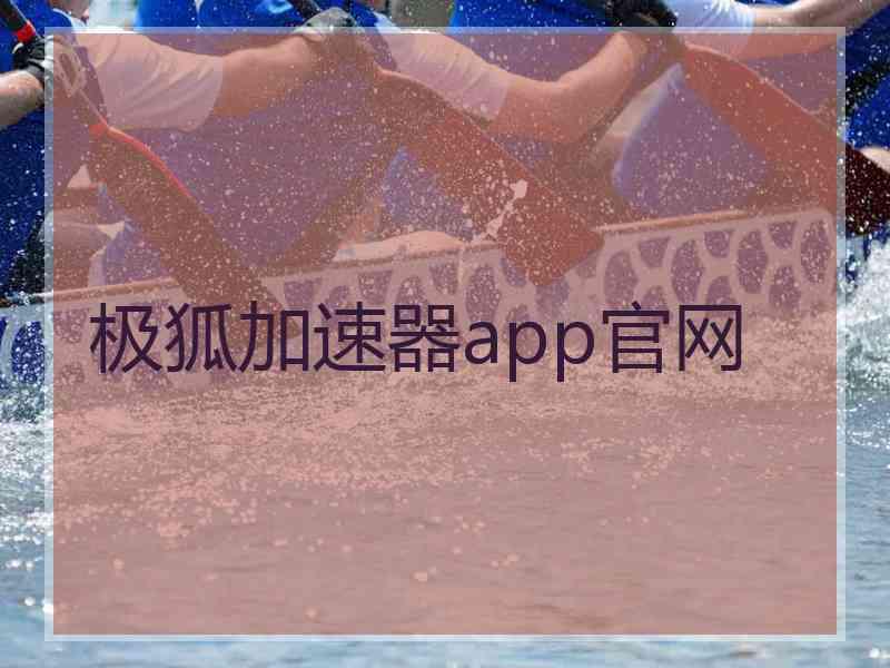 极狐加速器app官网