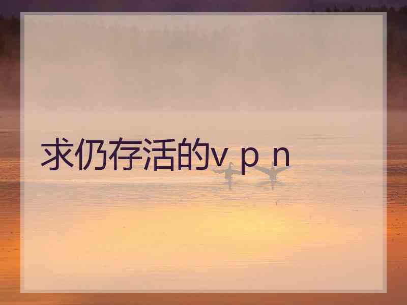 求仍存活的v p n