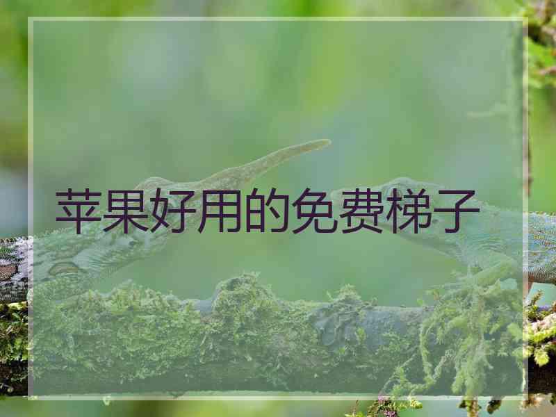 苹果好用的免费梯子