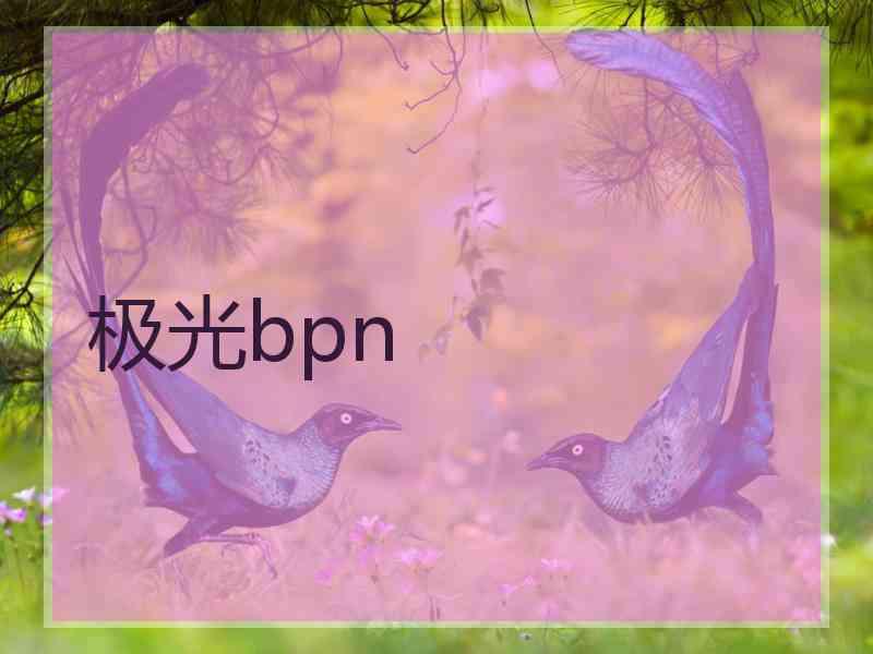 极光bpn