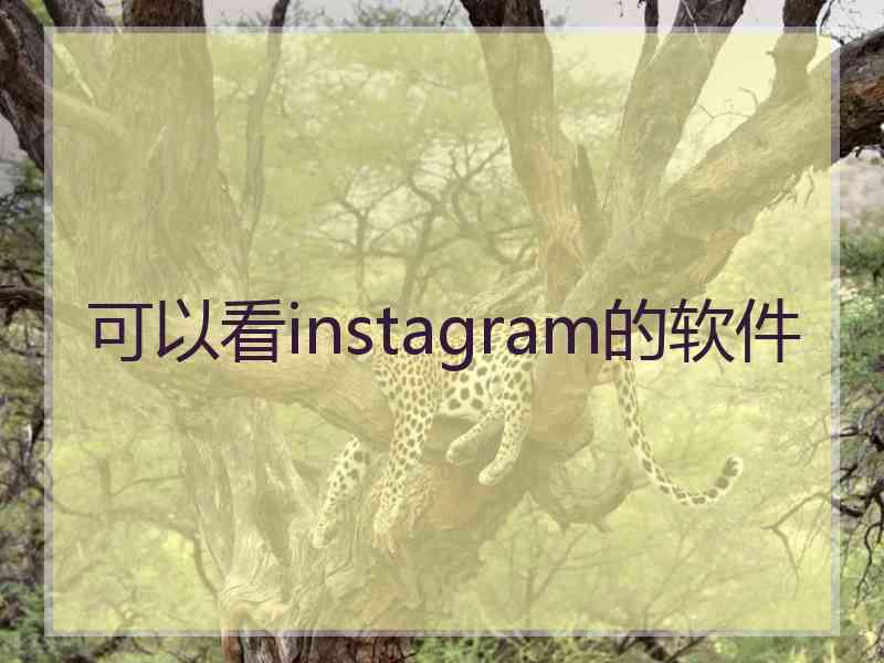 可以看instagram的软件