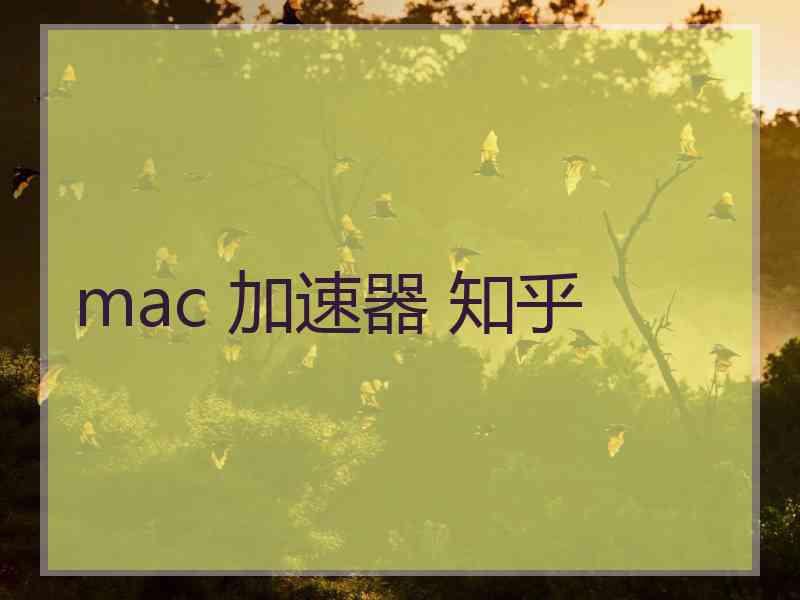 mac 加速器 知乎