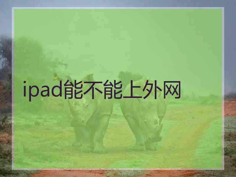 ipad能不能上外网