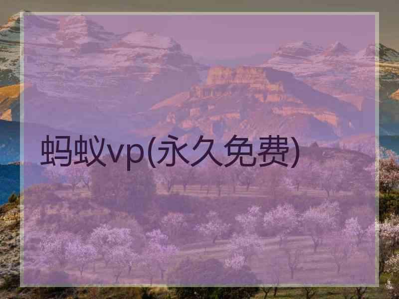 蚂蚁vp(永久免费)