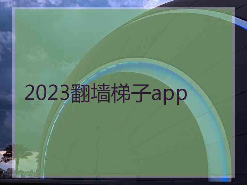 2023翻墙梯子app