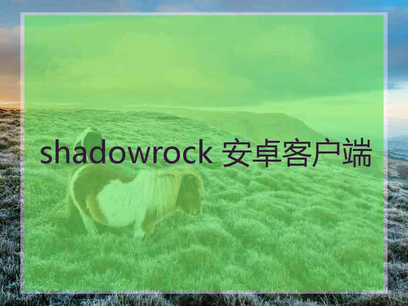 shadowrock 安卓客户端