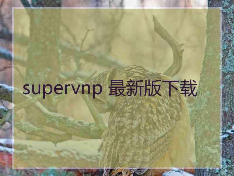 supervnp 最新版下载