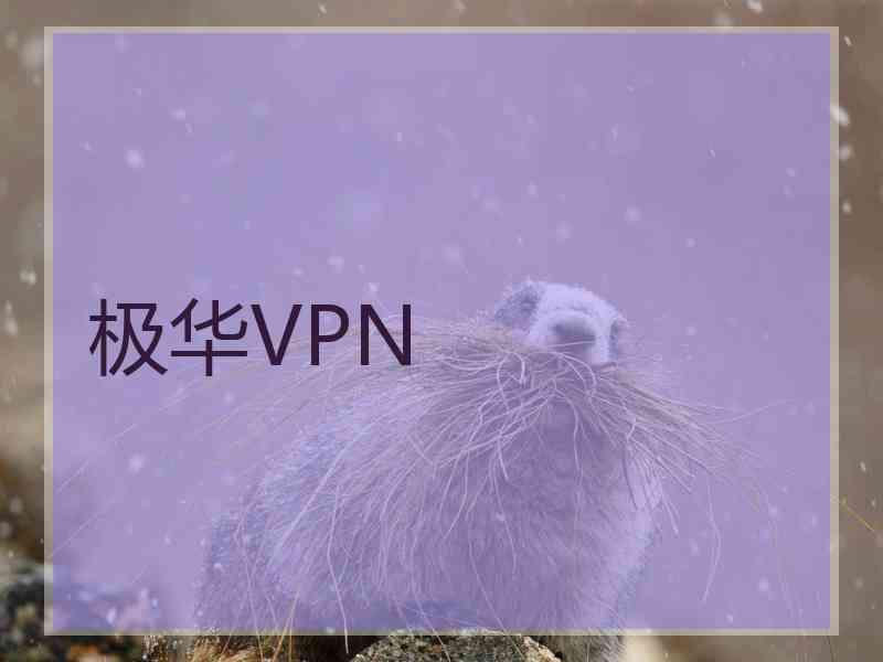 极华VPN