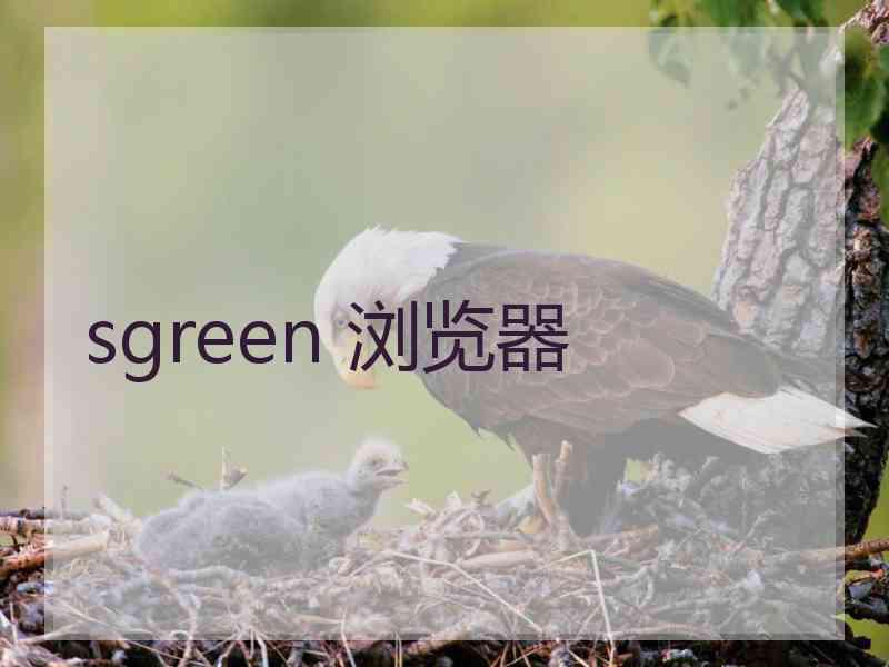 sgreen 浏览器