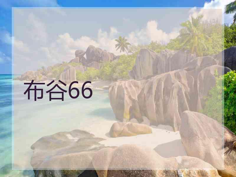 布谷66