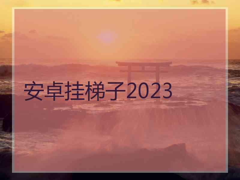 安卓挂梯子2023