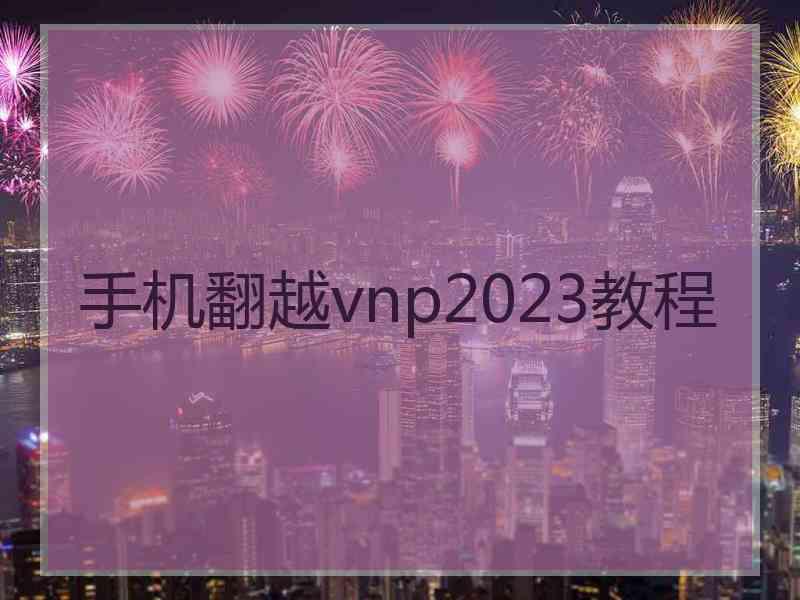 手机翻越vnp2023教程