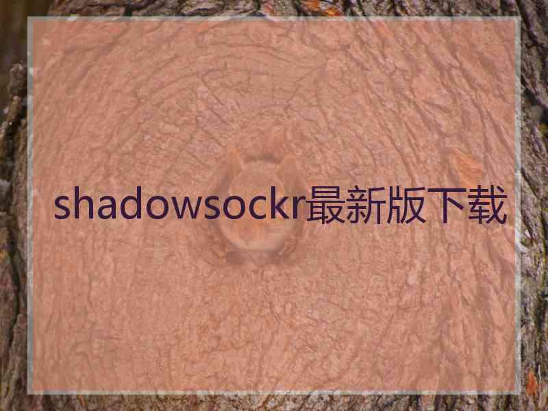 shadowsockr最新版下载