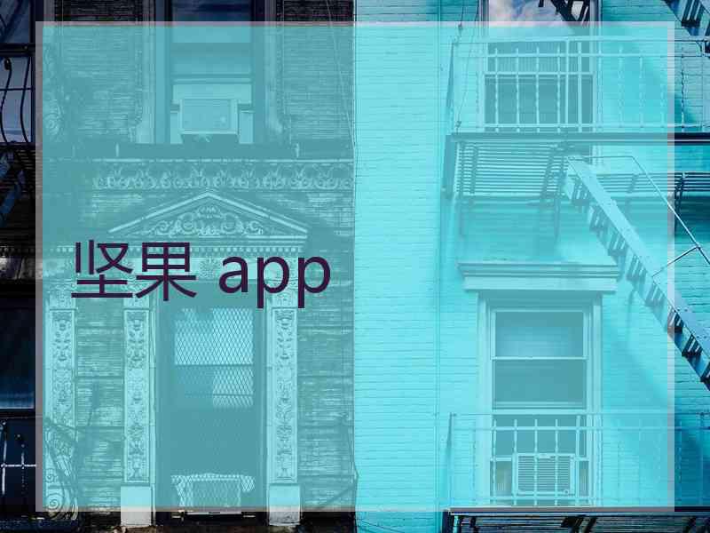 坚果 app