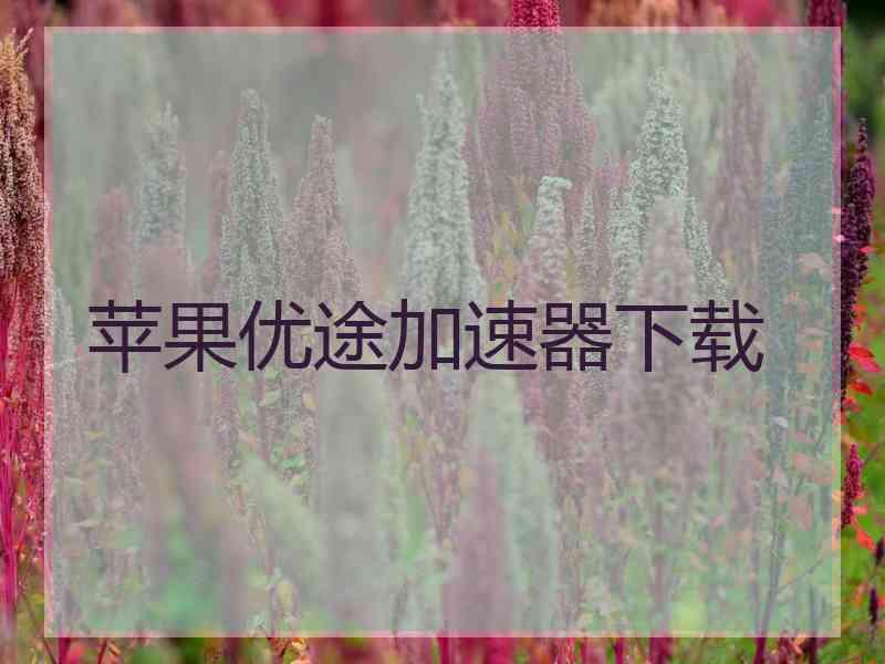 苹果优途加速器下载