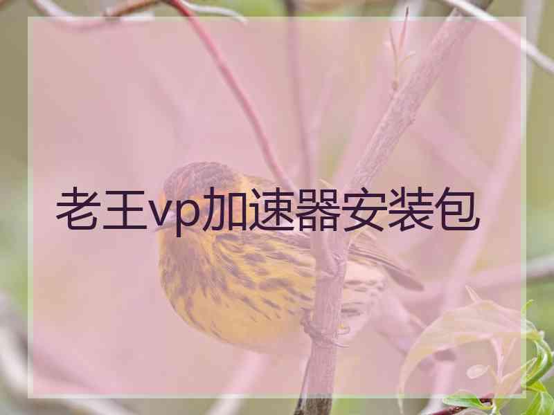 老王vp加速器安装包