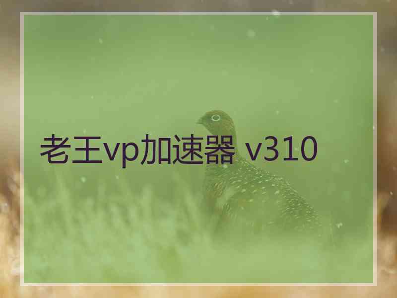 老王vp加速器 v310