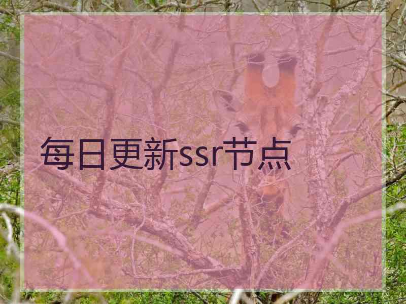 每日更新ssr节点