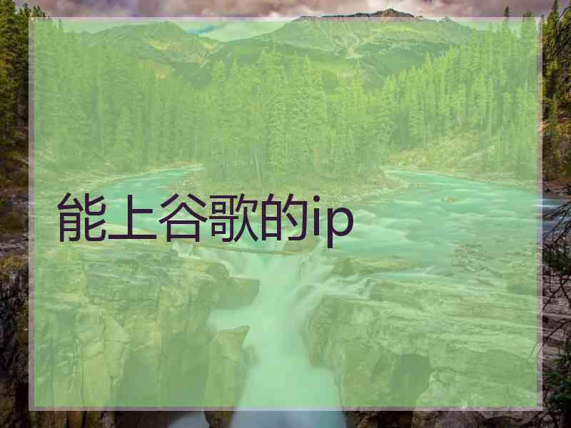 能上谷歌的ip