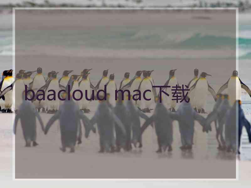 baacloud mac下载