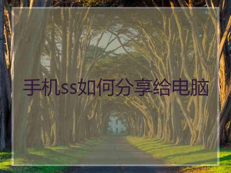 手机ss如何分享给电脑