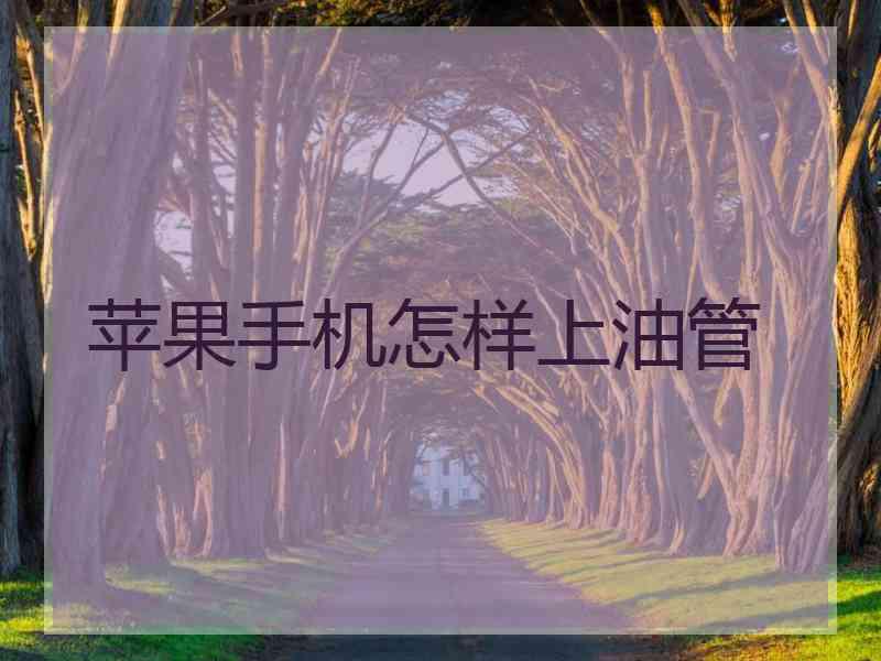 苹果手机怎样上油管