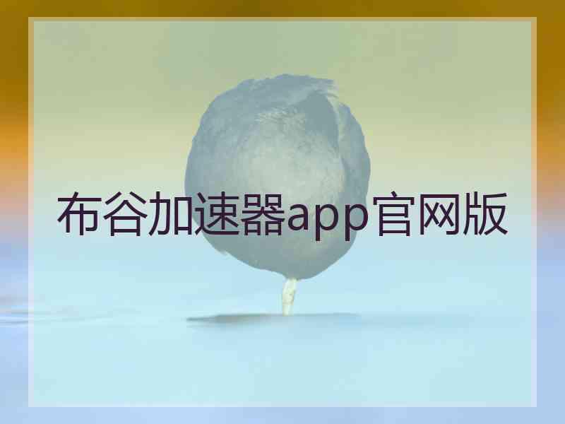 布谷加速器app官网版