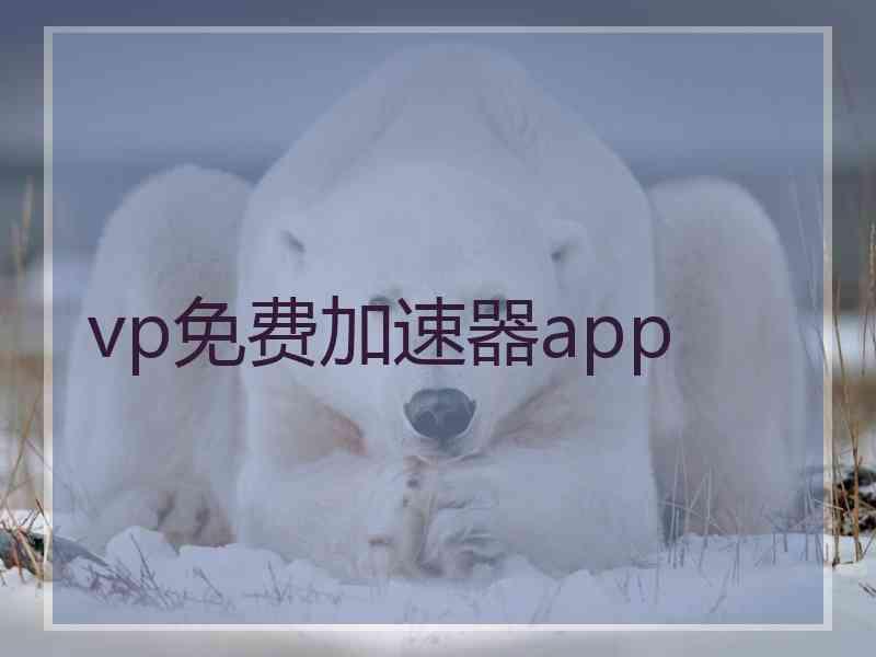 vp免费加速器app