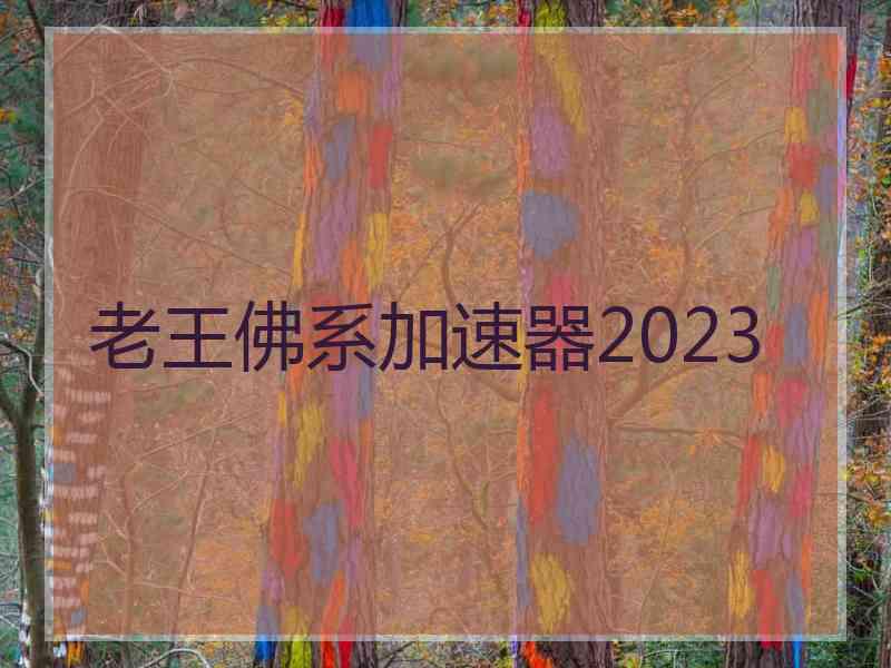 老王佛系加速器2023