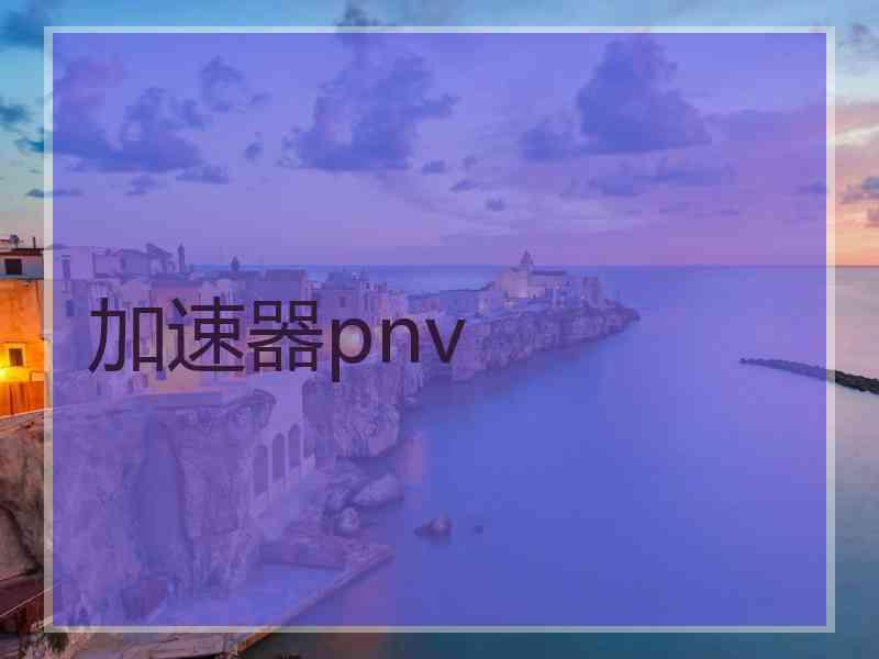 加速器pnv