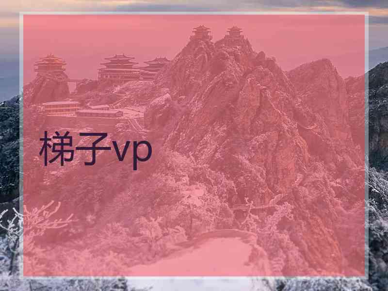 梯子vp