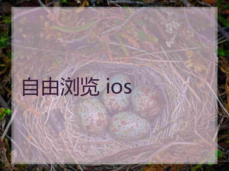 自由浏览 ios