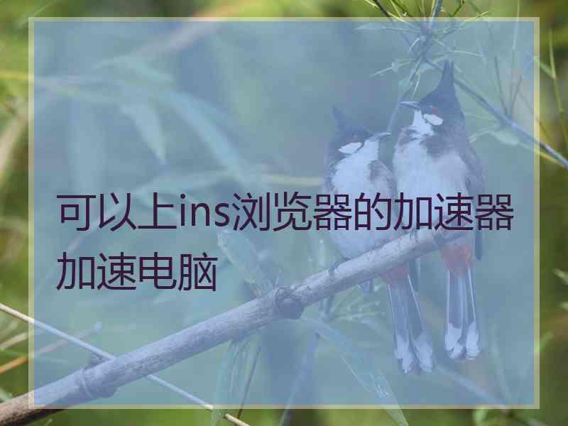 可以上ins浏览器的加速器加速电脑