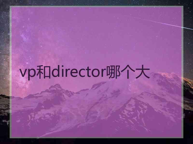 vp和director哪个大