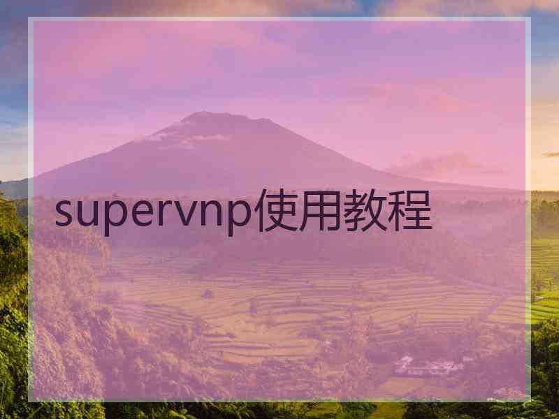 supervnp使用教程