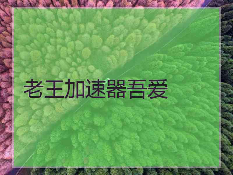 老王加速器吾爱