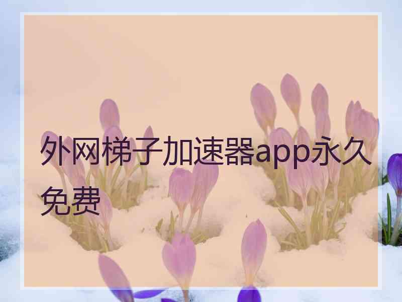 外网梯子加速器app永久免费