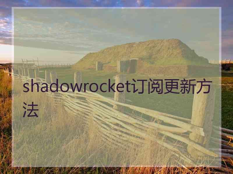 shadowrocket订阅更新方法