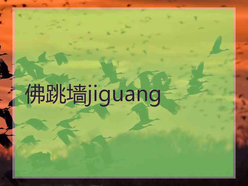 佛跳墙jiguang