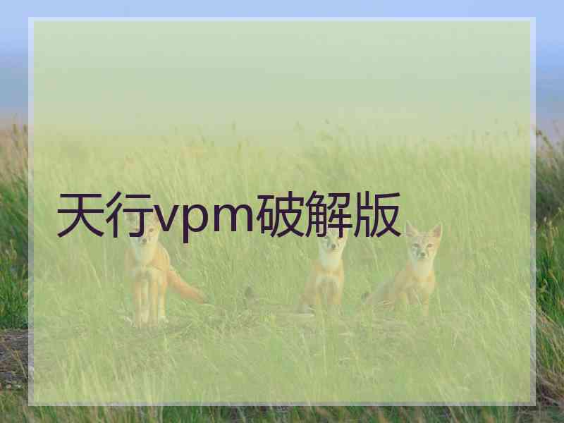 天行vpm破解版