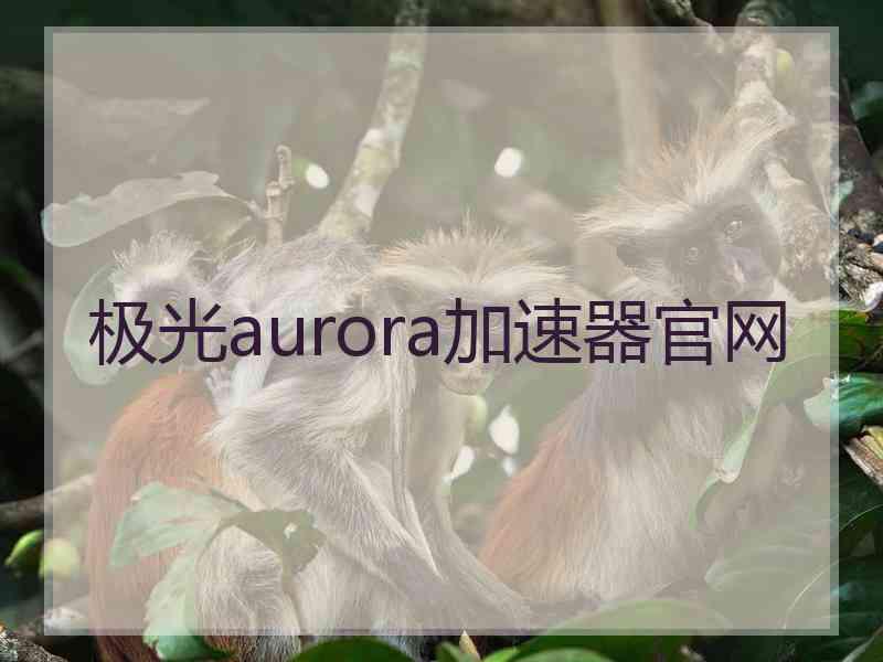 极光aurora加速器官网