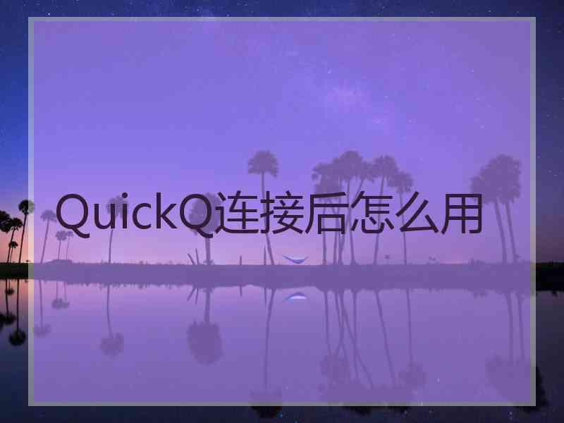 QuickQ连接后怎么用