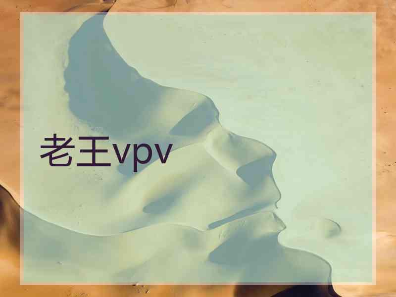 老王vpv