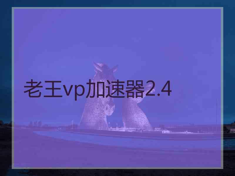 老王vp加速器2.4