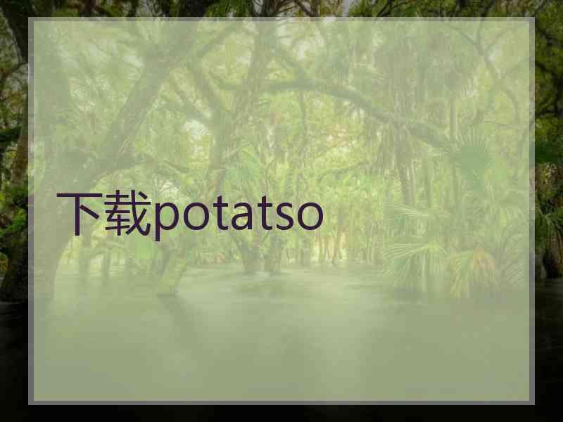 下载potatso